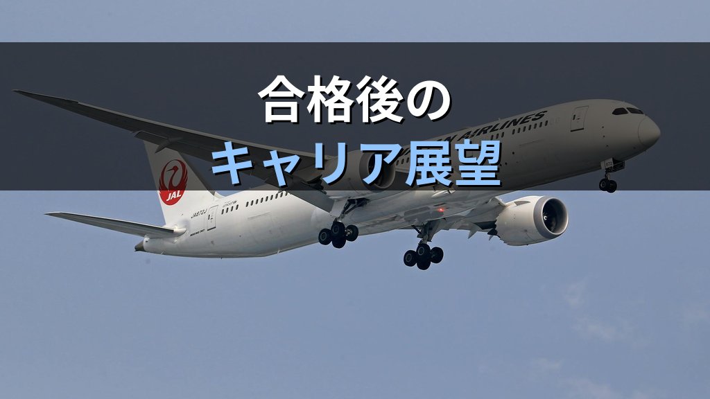旅行会社の特色を知る完全ガイド｜業態別の違いと旅行業務取扱管理者試験【2026年最新】 - まとめ