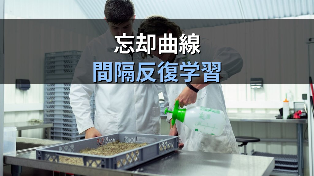 旅行業務取扱管理者試験 記憶の科学で合格する学習法【2026年最新】忘却曲線・間隔反復・アクティブリコールを活用した効率学習の完全ガイド - 解説